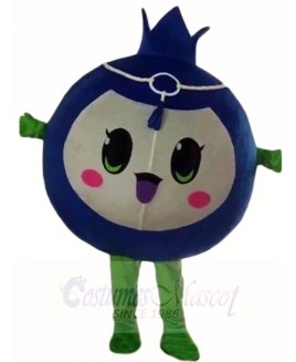 Blueberry Mascot Costumes Fruit