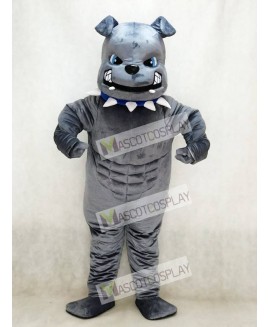 New Blue Eyes Grey Bulldog Mascot Costume