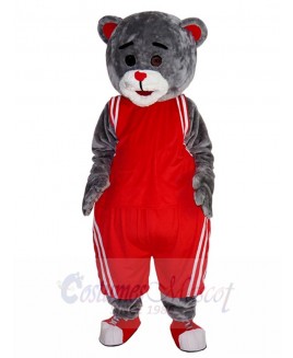 bear mascot costume