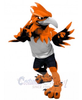 Phoenix Bird mascot costume