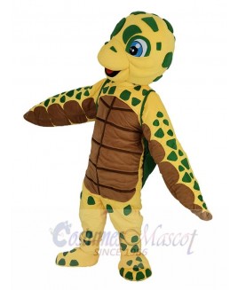 Turtle mascot costume