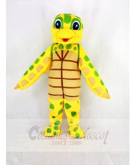 Cute Sea Turtle Mascot Costume Cartoon	