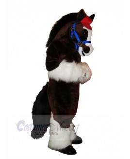 Cute Horse with Long Tail Mascot Costumes Cartoon