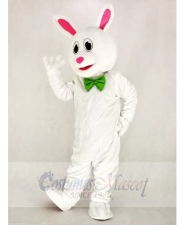 Funny Easter Bunny Rabbit Mascot Costume School 