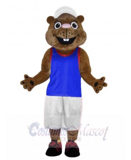 Gopher mascot costume