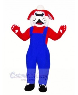Cute Red Dog with Black Shoes Mascot Costumes Animal