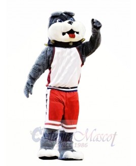 Cute College Bulldog Mascot Costumes