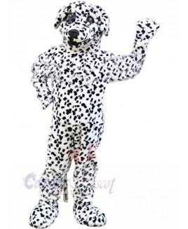 Strong Dalmatian Dog Mascot Costumes Animal