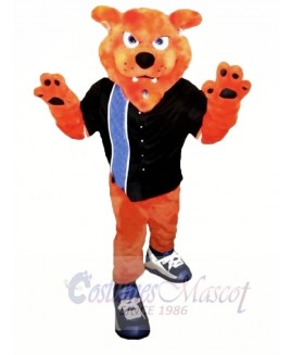 College Bobcat Mascot Costumes