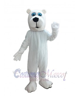 Bear mascot costume