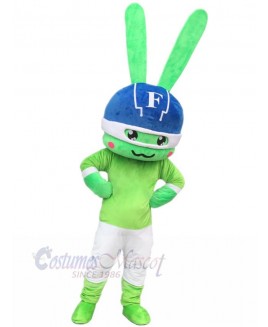 Bunny mascot costume