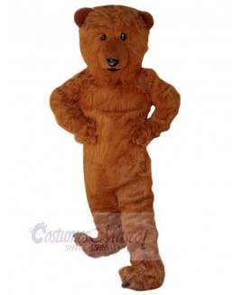 Bear mascot costume