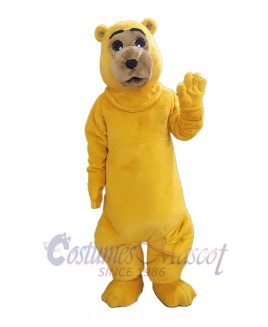 Bear mascot costume