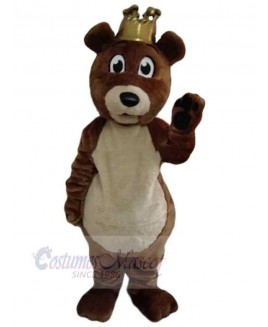 Bear mascot costume