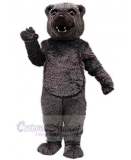 Bear mascot costume