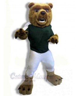 Bear mascot costume