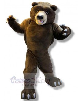 Bear mascot costume