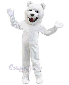 Bear mascot costume