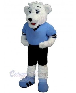 Bear mascot costume