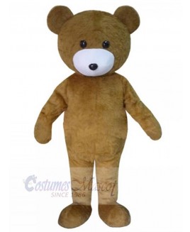 Bear mascot costume