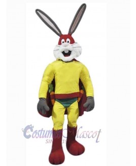 Easter Bunny Rabbit mascot costume