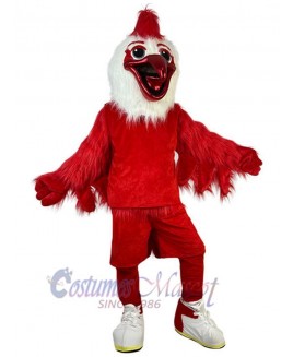 Bird mascot costume