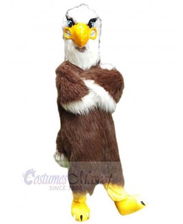 Eagle Hawk mascot costume