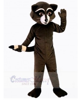 Raccoon mascot costume