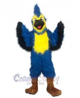 Eagle mascot costume