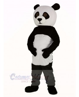 Toy Panda Mascot Costume Animal