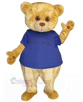 Bear mascot costume