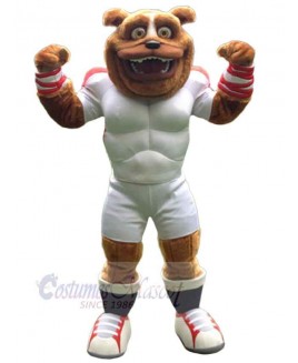 Bear mascot costume