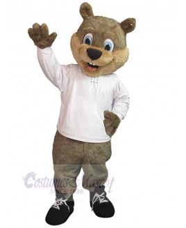 Bear mascot costume