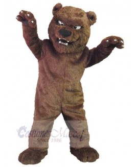 Bear mascot costume