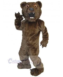 Bear mascot costume