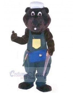 Bear mascot costume