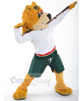 Bear mascot costume