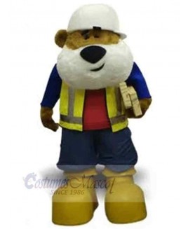 Bear mascot costume