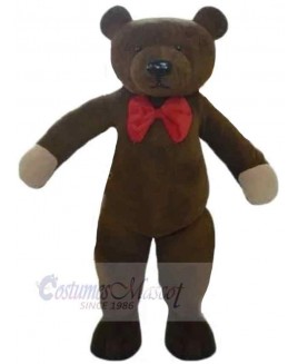 Bear mascot costume