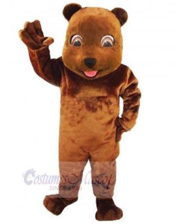 Bear mascot costume