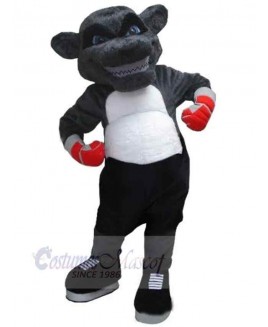 Bear mascot costume