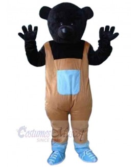 Bear mascot costume