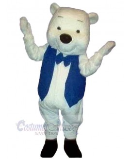 Bear mascot costume