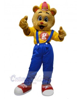 Bear mascot costume