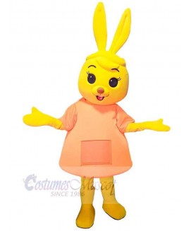 Rabbit mascot costume