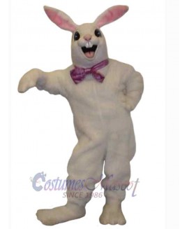 Easter Bunny Rabbit mascot costume