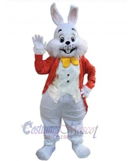 Easter Bunny Rabbit mascot costume