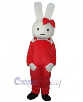 Easter Bunny Rabbit mascot costume