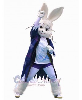 Easter Bunny Rabbit mascot costume