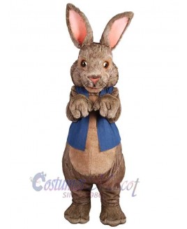 Easter Bunny Rabbit mascot costume